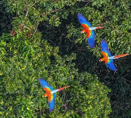Best trekking routes in Cusco: adventures beyond Machu Picchu